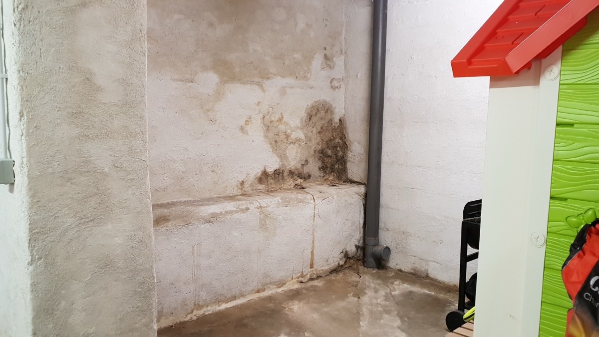 Infiltrations d'eau - Expertise humidité à Auch